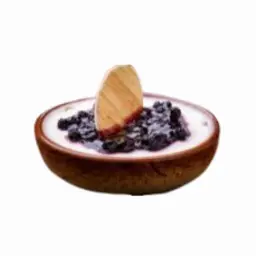 Blueberry Cheese Cake